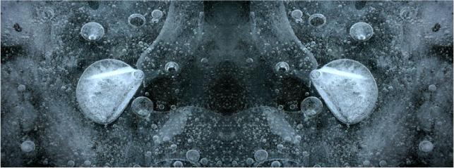 Andreas Bick I Frost Pattern