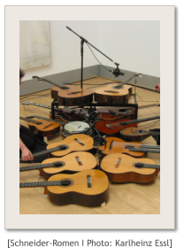 [Schneider-Romen I Photo: Karlheinz Essl]