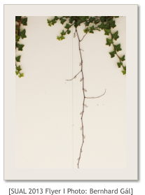 [SUAL 2013 Flyer I Photo: Bernhard G�l]