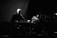 [Elisabeth Schimana / noid: Hautk&ouml;rper  | Foto: Markus Gradwohl]