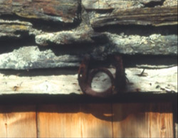 [Wolfgang Müller: Hausmusik - Stare von Hjertøya singen Kurt Schwitters (still) | Foto: artist]